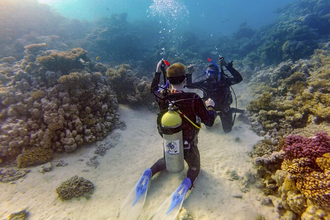 Red Sea Diving Trip from Hurghada: Beginner to Advanced Divers - Instructors you actually remember: Abdo, Hadi, Hamdy, Boudy, and more