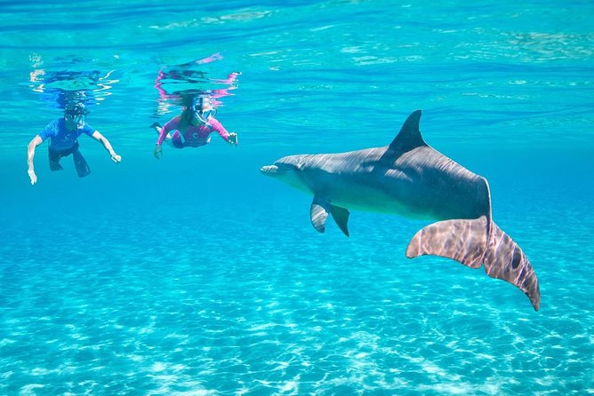 ROYAL Dolphin House & Water Sports Snorkeling Sea Trip - Hurghada - Key things to know before you go