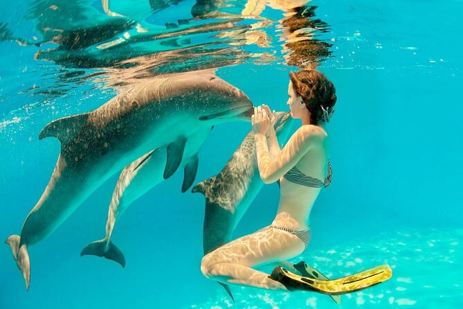 ROYAL Dolphin House & Water Sports Snorkeling Sea Trip - Hurghada - Dolphin House natural reserve: your best odds at dolphin swimming