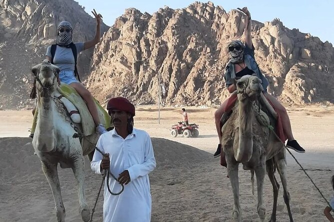 Safari 5 in 1 Quads Camels Star Gazing in Sharm El Sheikh - Camel ride and Bedouin tea, bread-making, and camp conversation