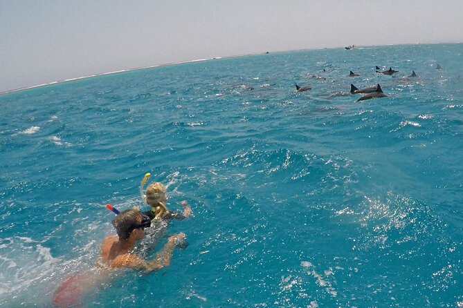 Sataya Dolphin House Snorkel Trip - Marsa Alam - Who should book this Sataya Dolphin House trip