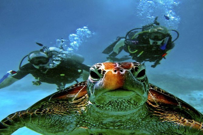 Scuba Diving Full Day Boat Trip for beginners With Lunch & Transfer – Hurghada - Boat setup, equipment, and the comfort details that affect the day