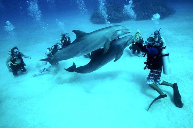 Scuba Diving Full Day Boat Trip for beginners With Lunch & Transfer – Hurghada - Price and money notes: how $24 turns into a real budget