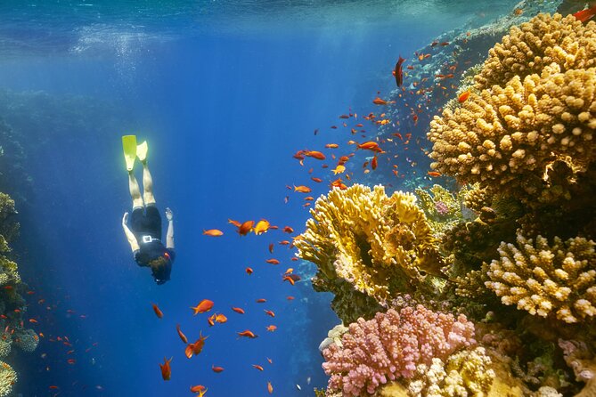 Sharm El Sheikh: Colored Canyon Jeep Tour with Blue Hole & Dahab - Should you book this Colored Canyon and Blue Hole day trip?