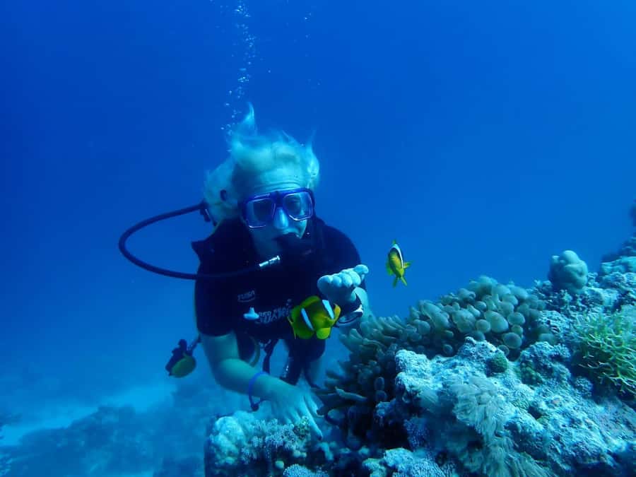 Sharm El Sheikh: Day sail to White island and Ras Mohamed - Ras Mohammed snorkel stops: two reef chances, guided the whole way