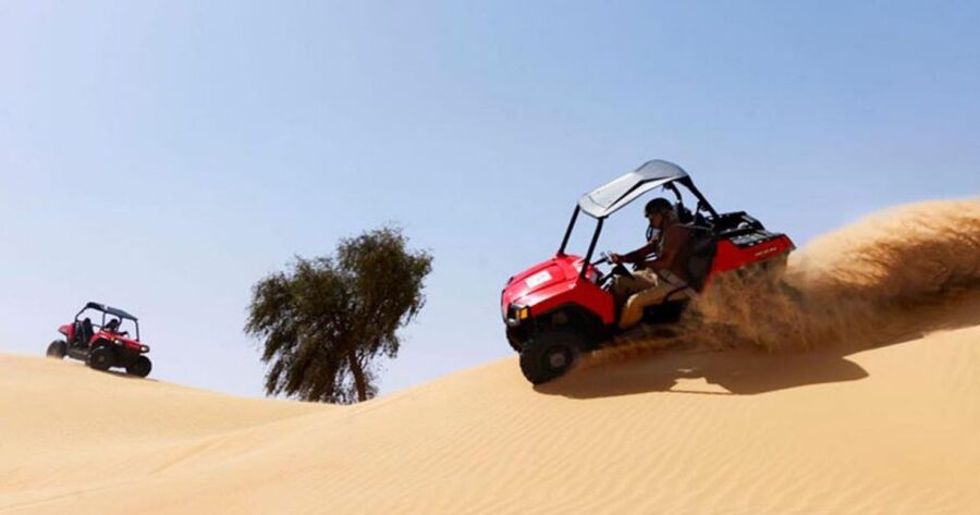 Sharm El-Sheikh: Desert Buggy Safari Adventure - Who this safari fits best, and when it might not