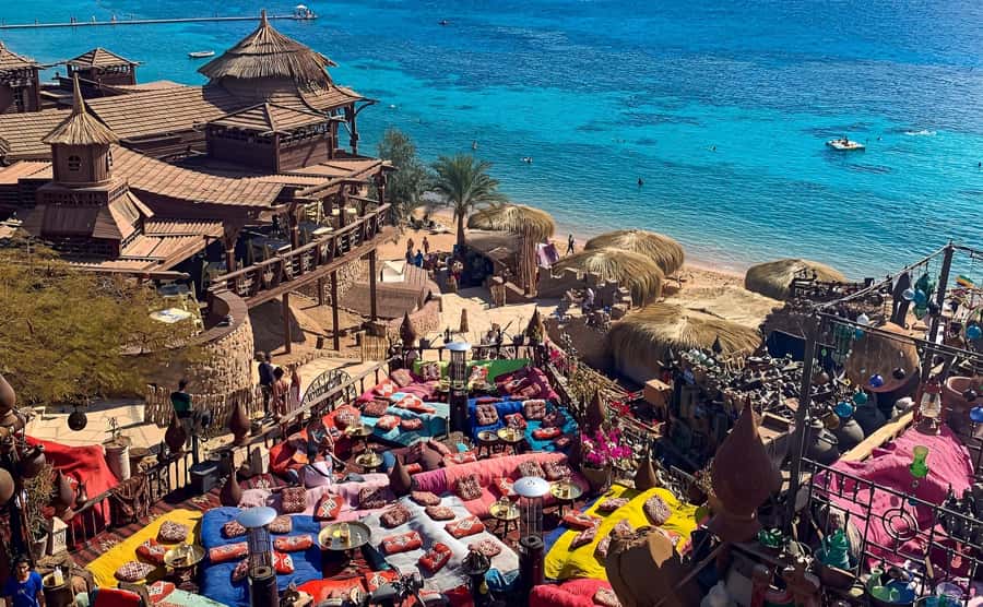 Sharm el Sheikh: Farsha Cafe & Soho Square Night Out Driver - Farsha Cafe Tea House: The Best Part, and the One Timing Rule