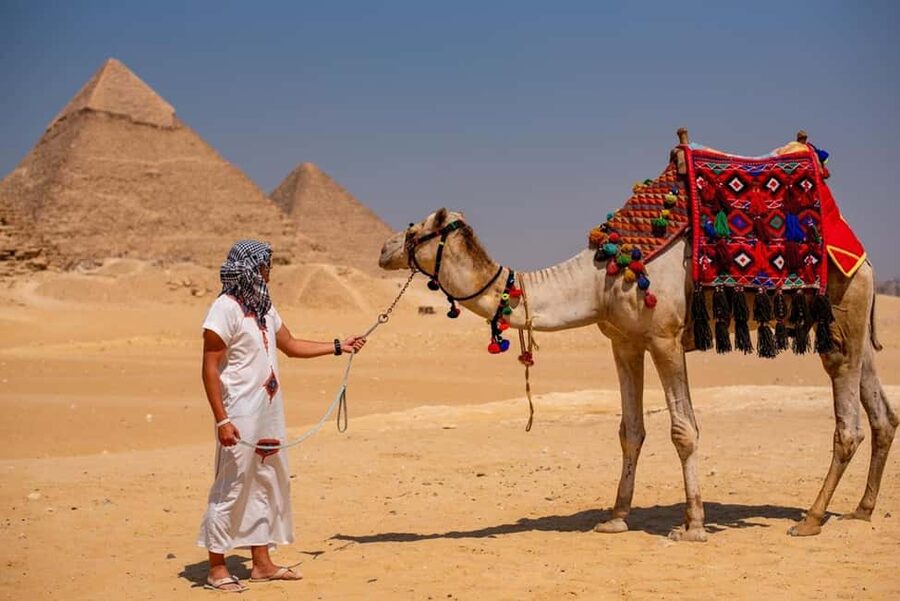 Sharm El-Sheikh: Full-Day Tour of Cairo and Pyramids by Bus - Egyptian Museum in Tahrir Square: what you should look for