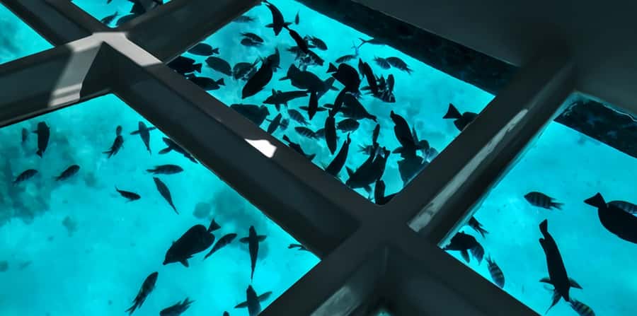 Sharm El Sheikh: Glass Bottom Boat Tour & Private Transfer - Setting Sail From Naama Bay, Then Back to Your Hotel