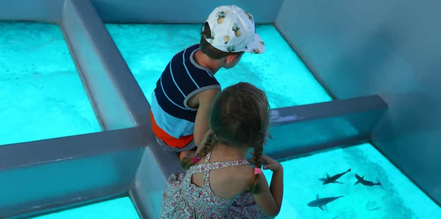 Sharm El Sheikh: Glass Bottom Boat Tour & Private Transfer - Glass-Bottom Boat Views: See Coral Without the Splash