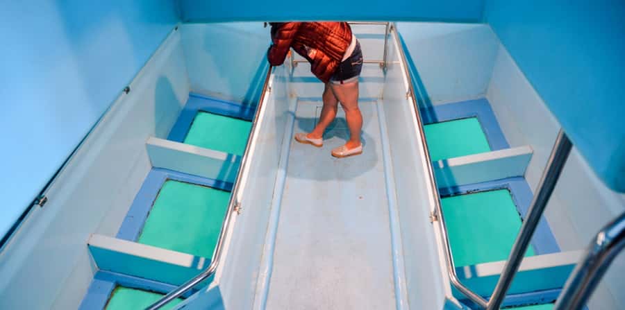 Sharm El Sheikh: Glass Bottom Boat Tour & Private Transfer - Private Transfer in Sharm: Worth It for Comfort and Pace