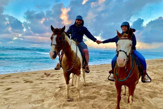 Sharm El Sheikh Horseback Riding with Pickup and Drop-off - Key Things I’d Prioritize