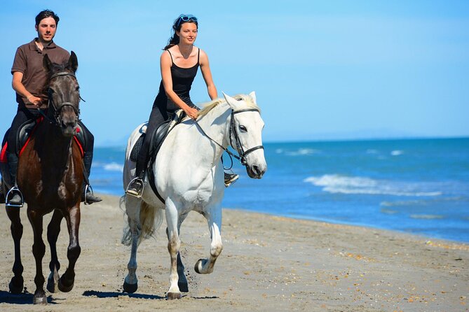 Sharm El Sheikh Horseback Riding with Pickup and Drop-off - Red Sea Horseback Riding: What It Actually Feels Like