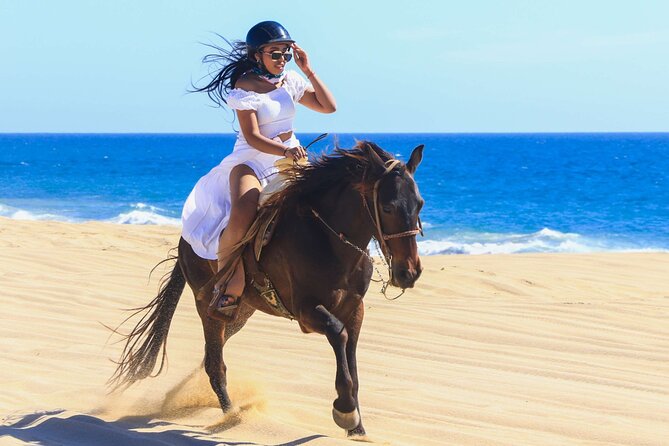 Sharm El Sheikh Horseback Riding with Pickup and Drop-off - Safety Briefing, Helmet, and Beginner-Friendly Coaching