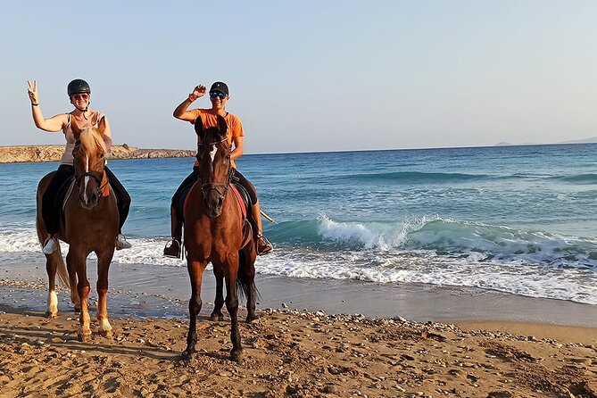 Sharm El Sheikh Horseback Riding with Pickup and Drop-off - Price and Value: Is $8.16 Actually a Good Deal?