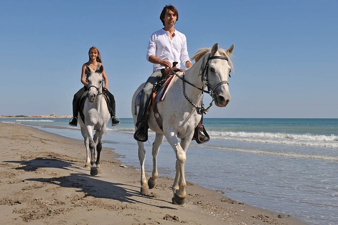 Sharm El Sheikh Horseback Riding with Pickup and Drop-off - Who Should Book This Horse Riding in Sharm, and Who Might Hesitate