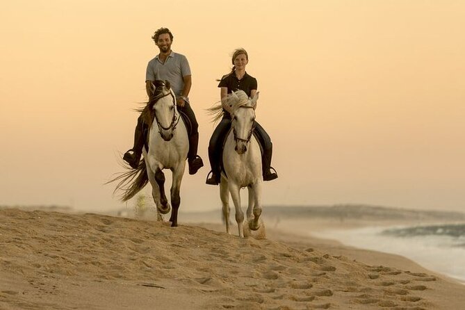 Sharm El Sheikh Horseback Riding with Pickup and Drop-off - Should You Book It? My Practical Take