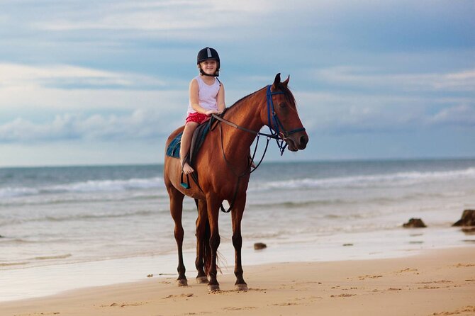 Sharm El Sheikh Horseback Riding with Pickup and Drop-off - Beach or Desert: The Best Choice Depends on Your Mood