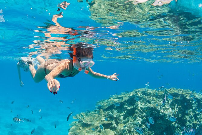 Sharm El-Sheikh: Jeep Adventure to Blue Hole, Canyon & Dahab - Jeep Safari Comfort, Timing, and the Logistics That Actually Affect You