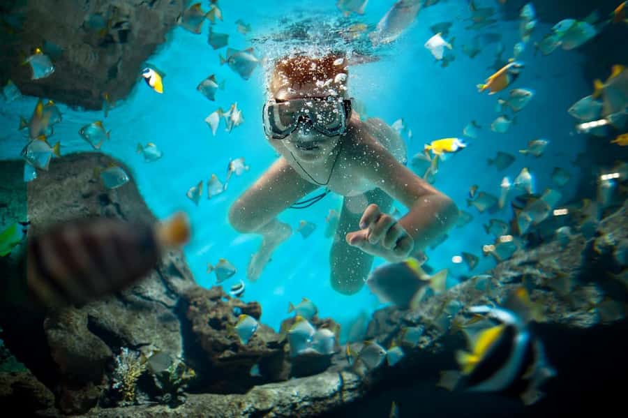 Sharm El Sheikh: Luxury boat Cruise with Snorkeling & Lunch - White Island swim and beach time, plus the tide condition catch