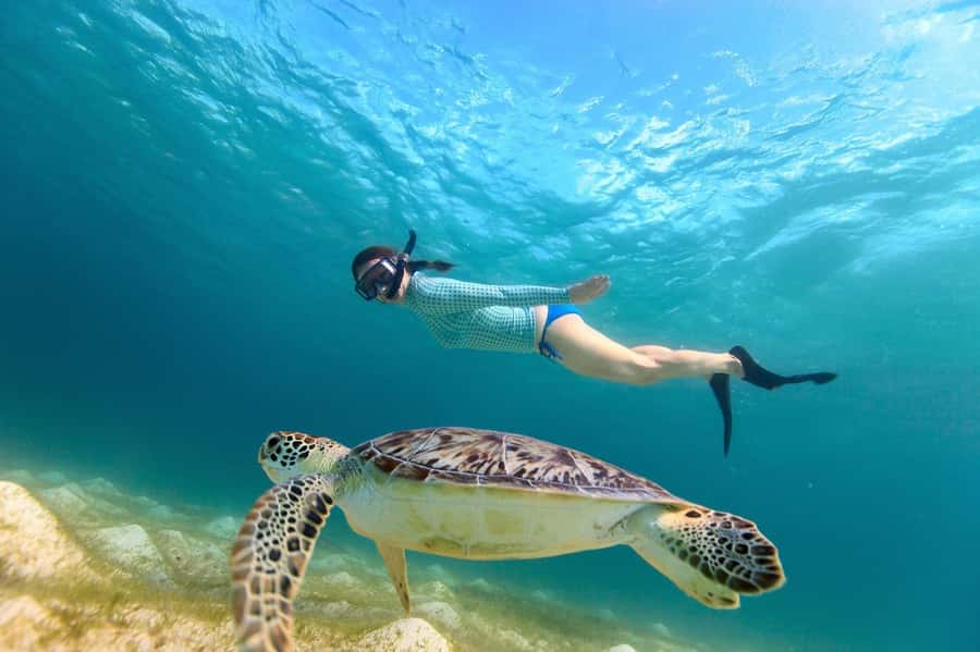 Sharm El Sheikh: Luxury boat Cruise with Snorkeling & Lunch - Value check: is $35 really a good deal?