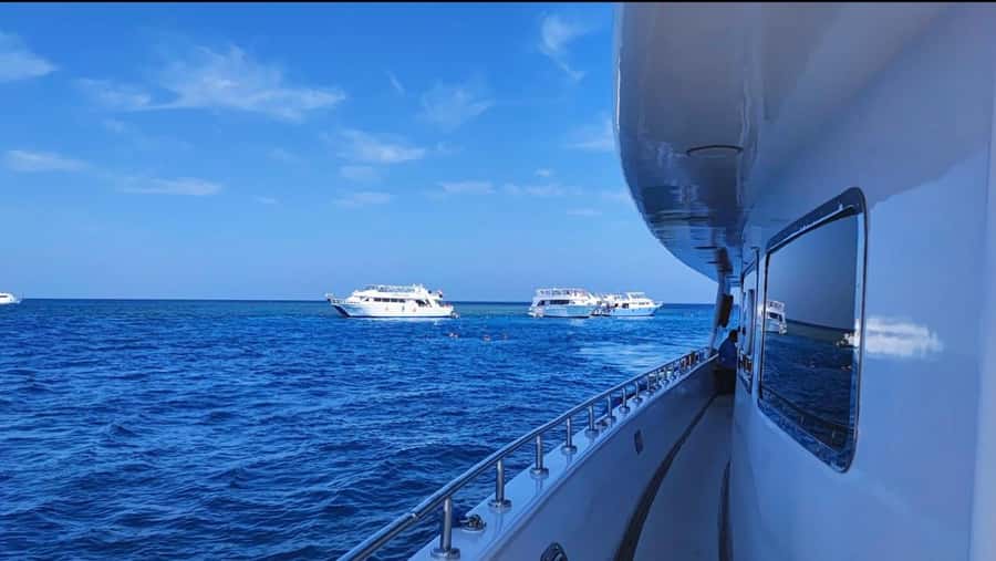 Sharm El-Sheikh: Luxury Ras Mohammed & White Island Cruise - Should you book this tour?