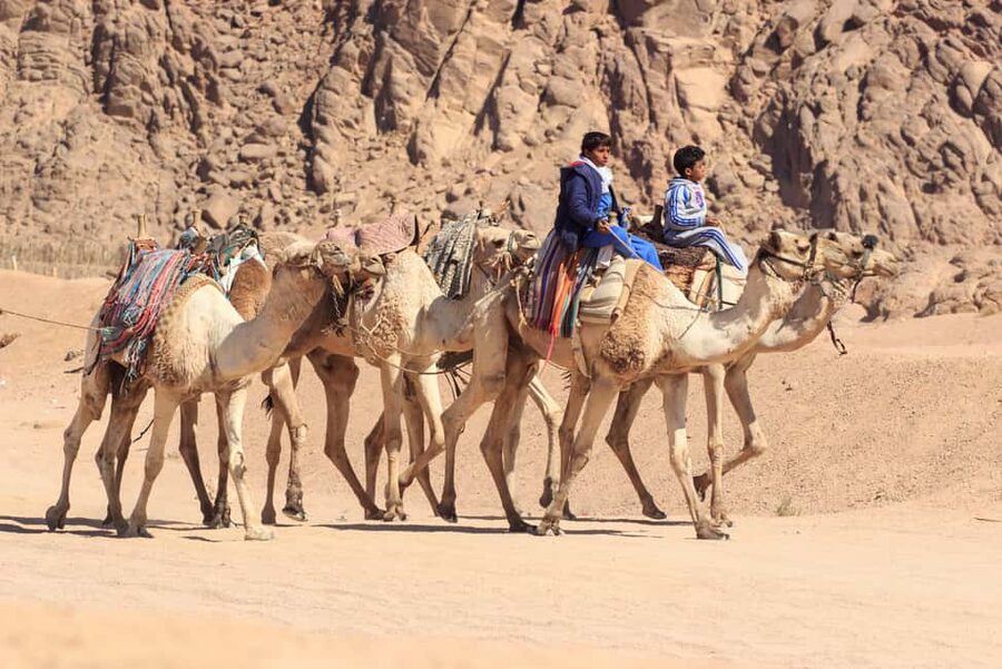 Sharm El-Sheikh: Morning Desert ATV Quad or Buggy Adventure - Bedouin Tea Time: The Real Finish Line