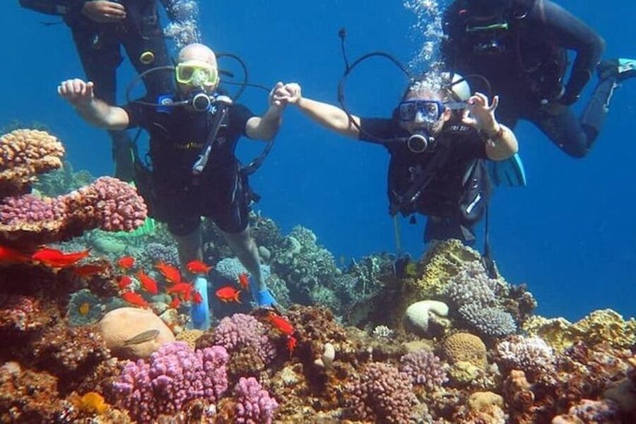 Sharm El-Sheikh: Parasailing, Camel Ride, Dive & Quad Bike - Key highlights at a glance