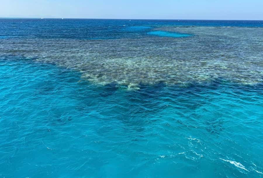 Sharm el-Sheikh: Premium Ras Mohammed & White Island Cruise - Crew and Safety: The Human Difference on This Day Trip