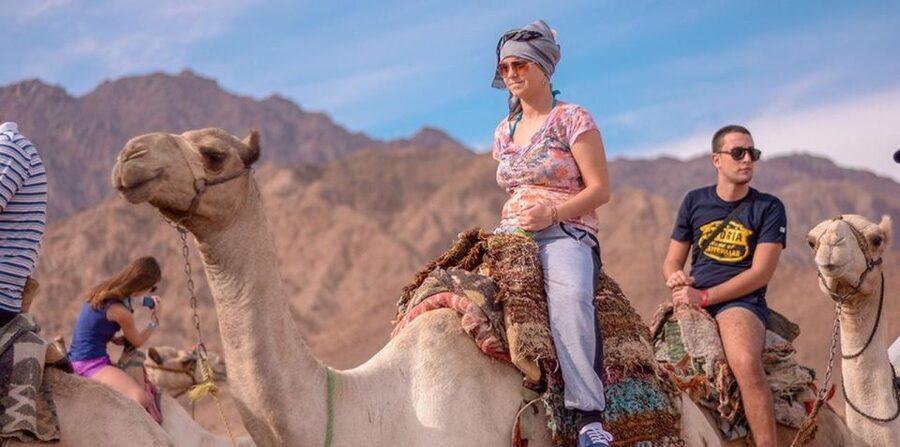 Sharm El Sheikh: Quad bike, Safari, Camel With Dinner & Show - Dinner by Fire and Bedouin Show: How the Night Turns Memorable