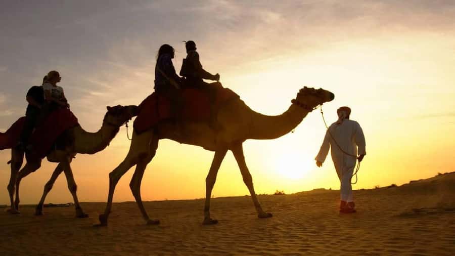 Sharm El Sheikh: Quad Biking, Camel Ride & Bedouin Dinner. - Camel ride and Bedouin tea: the calm break in an active schedule