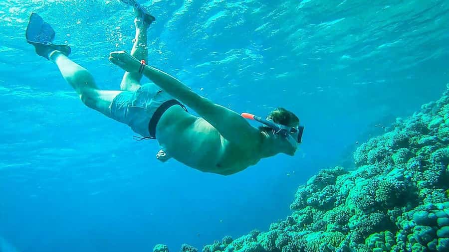Sharm El Sheikh: Ras Mohamed and White island cruise - Key highlights worth planning around