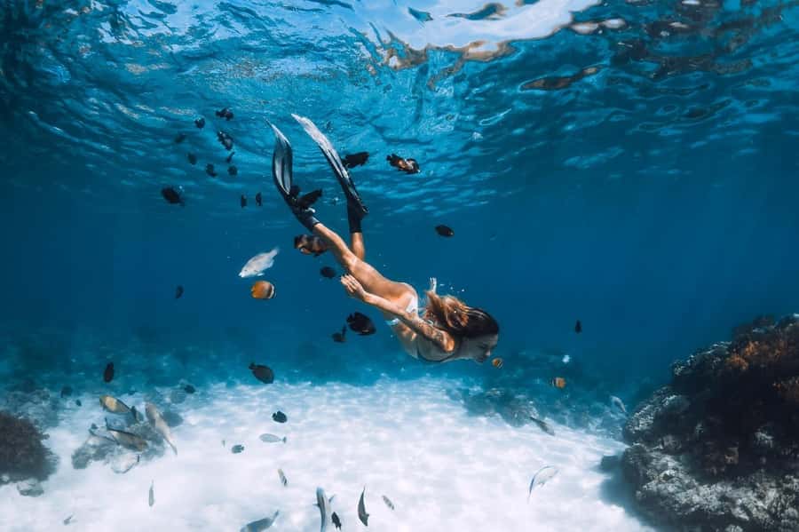 Sharm El Sheikh: Ras Mohamed and White island cruise - A Red Sea Day With Ras Mohammed and White Island