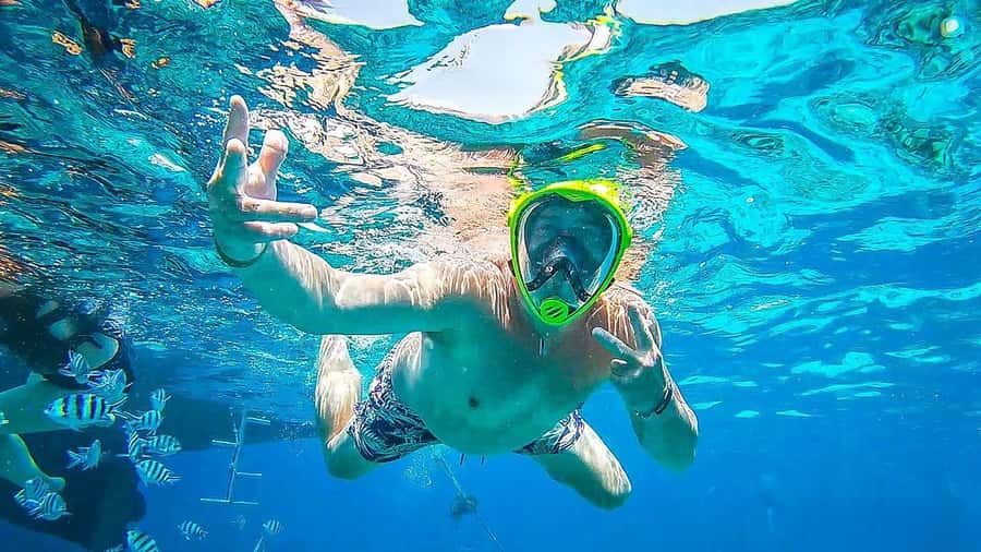 Sharm El Sheikh: Ras Mohamed and White island cruise - Logistics and comfort: sun deck, A/C, wheelchair access, and timing