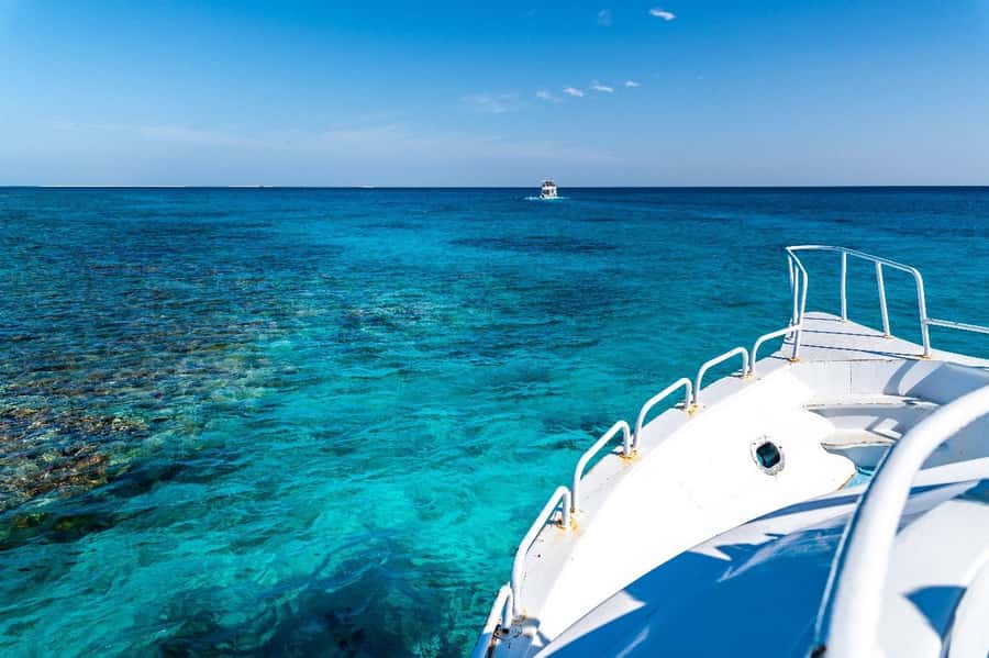 Sharm El Sheikh: Ras Mohamed and White island cruise - Price and value: what you pay, plus the marina fee