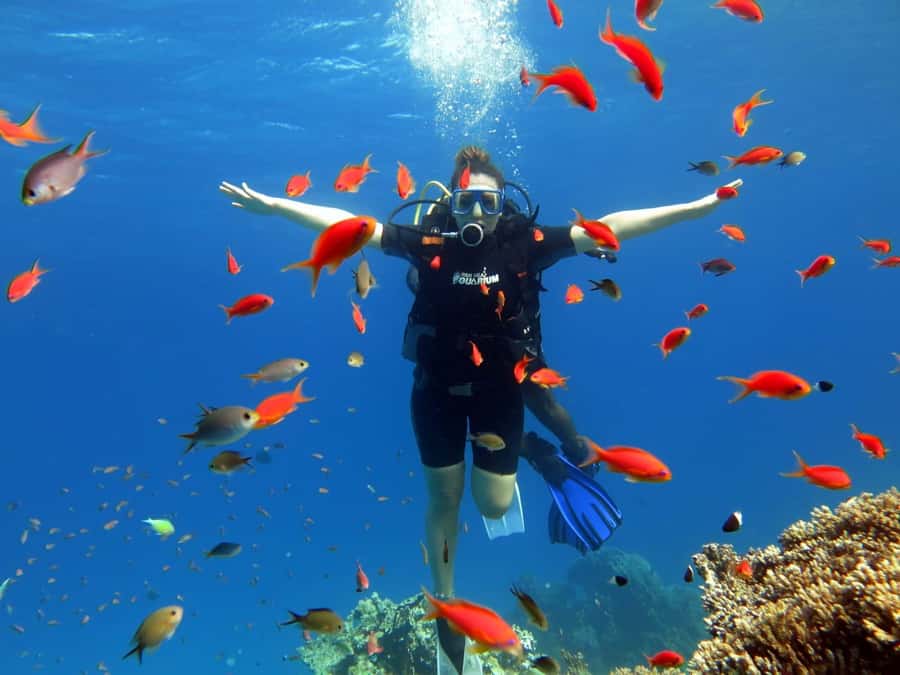 Sharm El Sheikh: Ras Mohamed Cruise with Snorkeling & Lunch - White Island Beach Break: Tide Changes the Experience