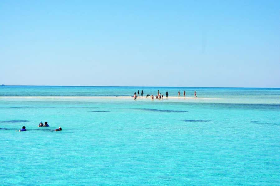 Sharm El Sheikh: Ras Mohamed Cruise with Snorkeling & Lunch - Getting to Watanya Marina: Pickup and What Check-In Feels Like