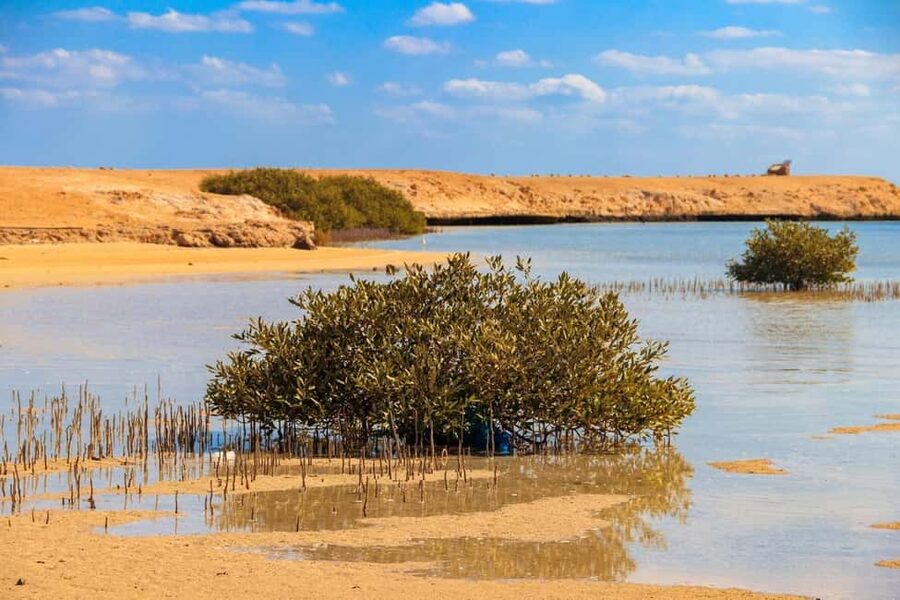 Sharm El-Sheikh: Ras Mohamed Half-Day Tour & Allah's Gate - Key things to know before you go