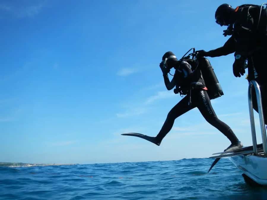 Sharm El Sheikh: Ras Mohamed & White Island Dive & Snorkel - Key Things You Should Know Before You Go