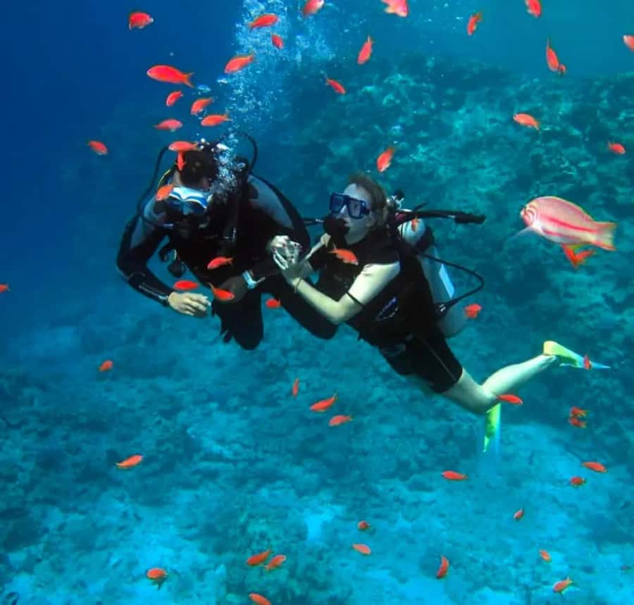 Sharm El Sheikh: Ras Mohamed & White Island Dive & Snorkel - Intro Scuba Training to 7 Meters: Beginner Safety Without the Pressure