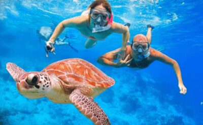 Ras Mohamed & White Island Dive & Snorkel