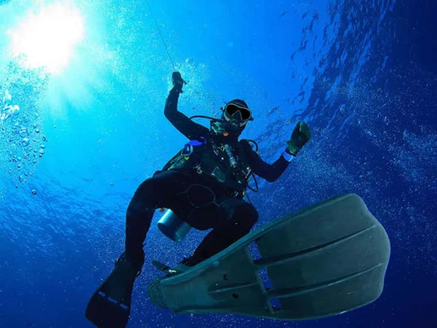 Sharm El Sheikh: Ras Mohamed & White Island Dive & Snorkel - Transfers, Timing, and the Staff That Makes It Work