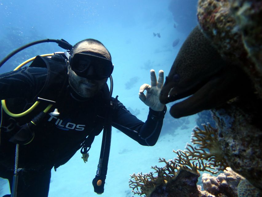 Sharm El Sheikh: Ras Mohamed & White Island Snorkel or Dive - Practical tips that keep your day smooth