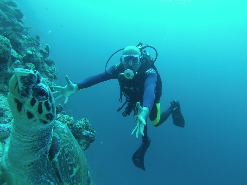 Sharm El Sheikh: Ras Mohamed & White Island Snorkel or Dive - From pickup to briefing, how the day runs in real life