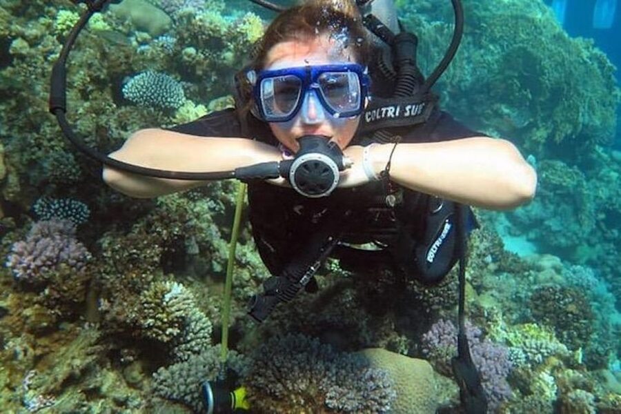 Sharm El Sheikh: Ras Mohamed & White Island Snorkel or Dive - Picking the right option: snorkel, intro scuba, full day, or night session