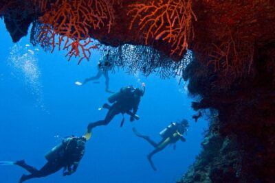 Ras Mohamed & White Island Snorkeling Trip