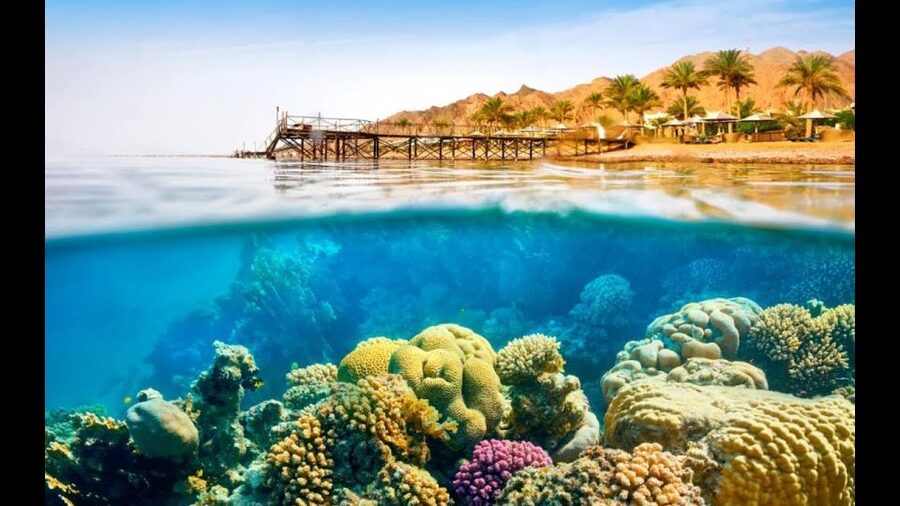 Sharm El-Sheikh: Ras Mohamed & White Island Snorkeling Trip - White Island sandbar stop: short swim, big photo energy, and crowd reality