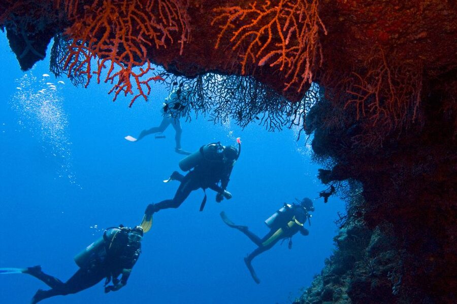 Sharm El-Sheikh: Ras Mohamed & White Island Snorkeling Trip - Hotel pickup to the marina: easy in theory, plan for timing reality