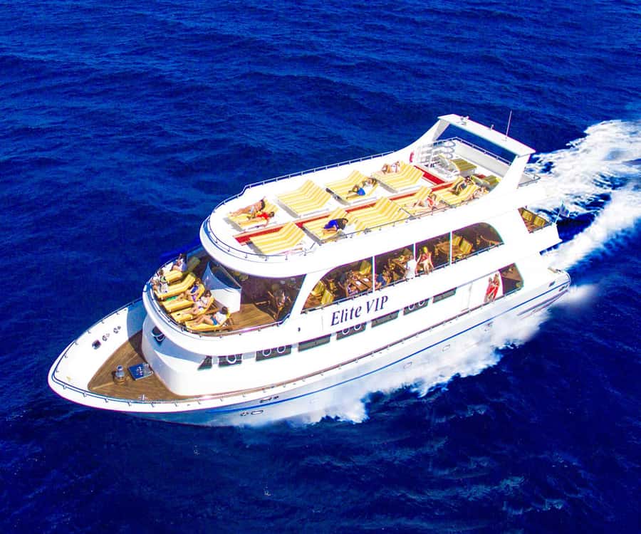 Sharm el-Sheikh: Ras Mohammed Elite VIP Cruise and BBQ Lunch - Key highlights you will care about