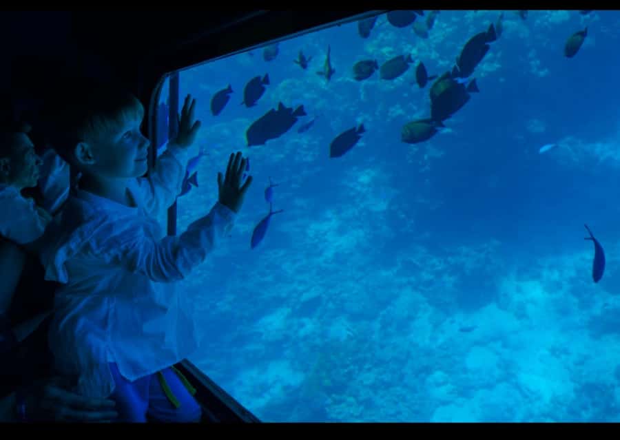 Sharm El-Sheikh: Royal Seascope Submarine Cruise with Pickup - The short boat cruise to the reef area